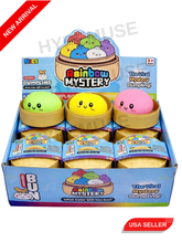 Display box of Rainbow Mystery Dumplings with colorful packaging and visible brand name.