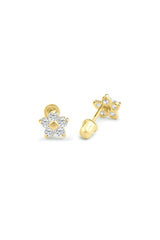 14K Solid Gold CZ Flower Screw Back Stud Earring - Pretty At Sam