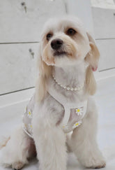 Natural Stone Custom Made Pet Necklace