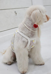 Natural Stone Custom Made Pet Necklace