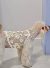 Natural Stone Custom Made Pet Necklace